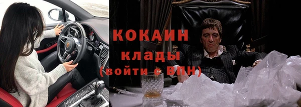 ГАЛЛЮЦИНОГЕННЫЕ ГРИБЫ Карпинск