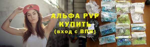 ГАЛЛЮЦИНОГЕННЫЕ ГРИБЫ Карпинск