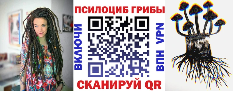 Галлюциногенные грибы GOLDEN TEACHER  Купить закладки  Михайлов 